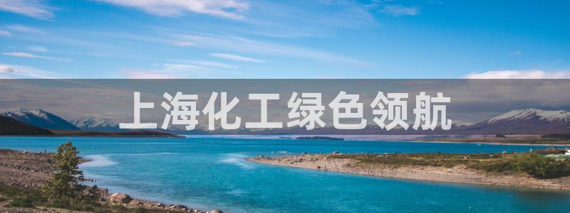 亿万先生情侣车有什么用：上海化工绿色领航