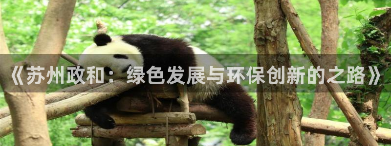 亿万先生客户端官网首页：《苏州政和：绿色发展与环保创新的之路》