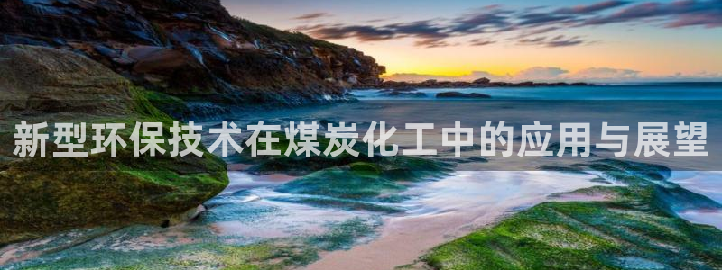 电影亿万：新型环保技术在煤炭化工中的应用与展望