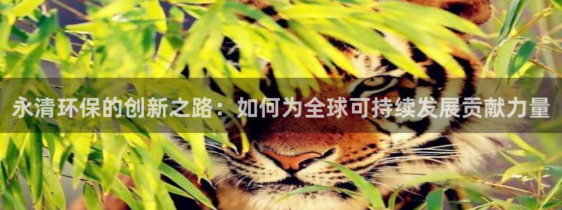 亿万钱包app下载：永清环保的创新之路：如何为全球可持续发展贡献力量