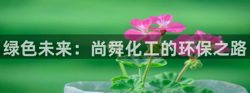 亿万首富游戏破解版无限钻石：绿色未来：尚舜化工的环保之路