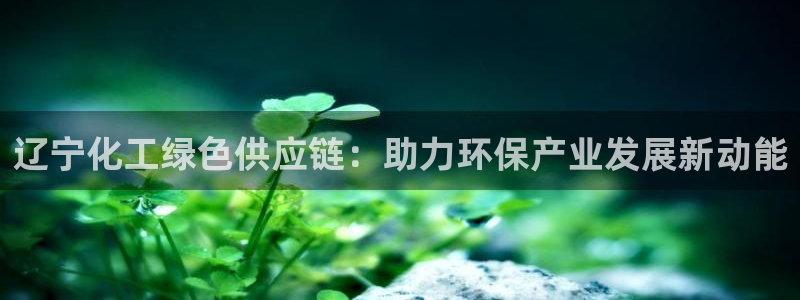 亿万先生客户端下载安装：辽宁化工绿色供应链：助力环保产业发展新动能