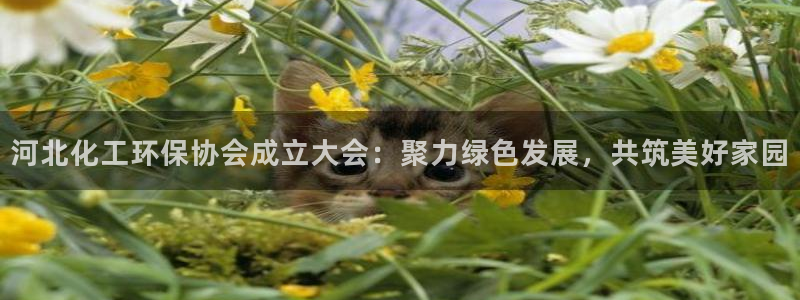 亿万先生客户端下载：河北化工环保协会成立大会：聚力绿色发展，共筑美好家园