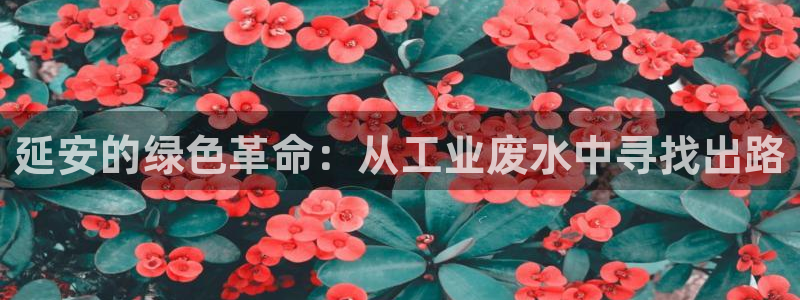 mr8001亿万先生在线存款