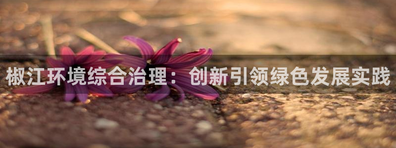亿万先生是男是女：椒江环境综合治理：创新引领绿色发展实践