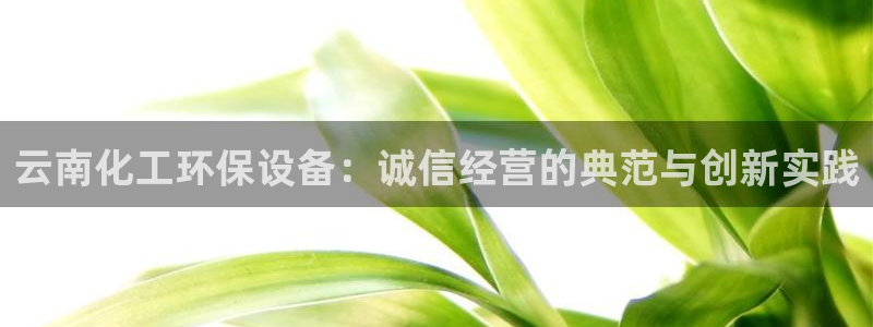 亿万先生 菲律宾：云南化工环保设备：诚信经营的典范与创新实践