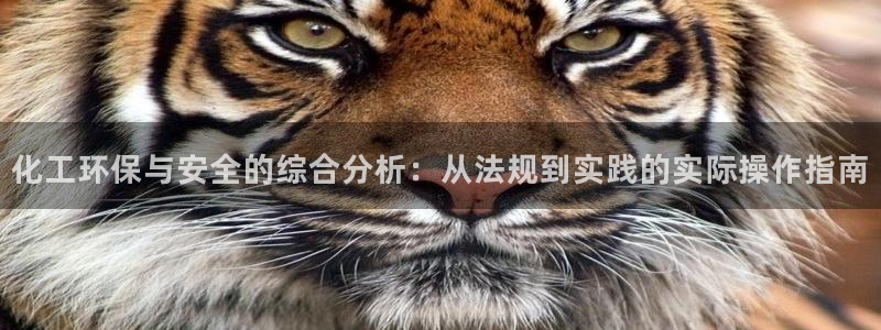亿万手游官网网址：化工环保与安全的综合分析：从法规到实践的实际操作指南