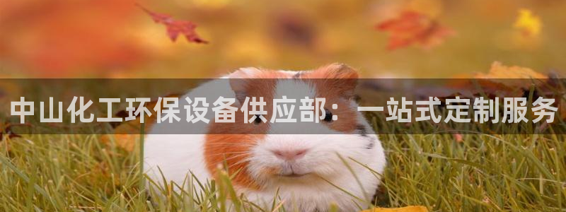 亿万先生手机版：中山化工环保设备供应部：一站式定制服务
