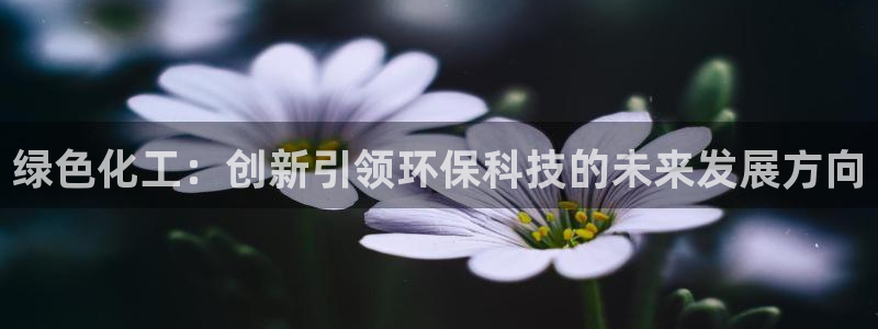 亿万先生手机版入口在哪看：绿色化工：创新引领环保科技的未来发展方向