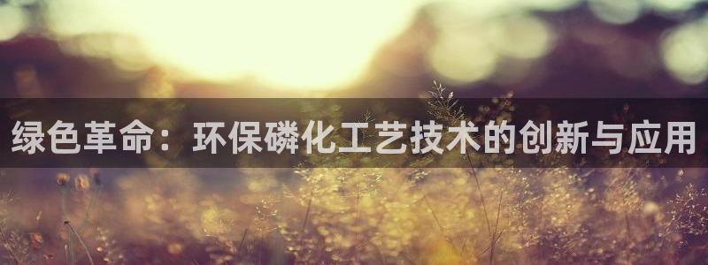 亿万先生网页版下载：绿色革命：环保磷化工艺技术的创新与应用