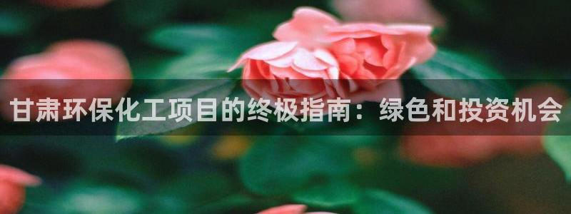 亿万购平台最新消息：甘肃环保化工项目的终极指南：绿色和投资机会