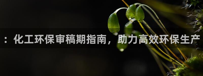 亿万官网字幕：：化工环保审稿期指南，助力高效环保生产