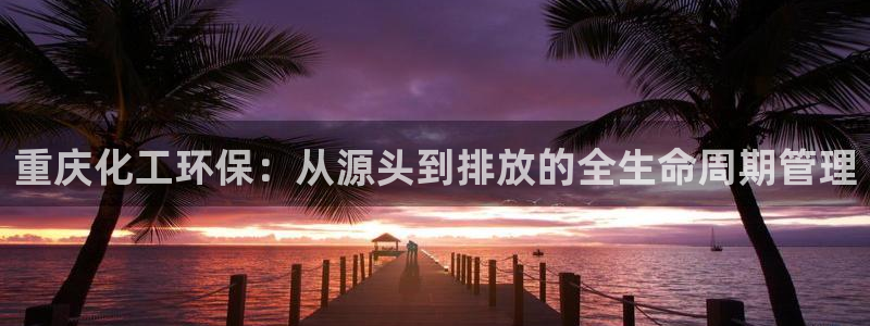 亿万先生情侣车有什么用：重庆化工环保：从源头到排放的全生命周期管理