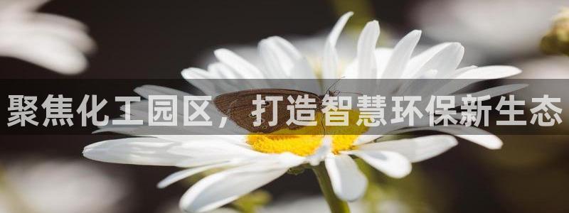 亿万先生合并网址：聚焦化工园区，打造智慧环保新生态