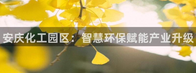 亿万国际游戏官网：安庆化工园区：智慧环保赋能产业升级