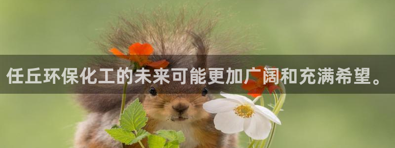 亿万先生现在的网址谁知道：任丘环保化工的未来可能更加广阔和充满希望。