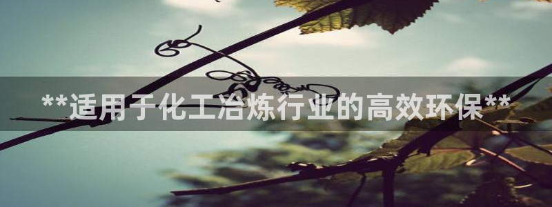 亿万 在线：**适用于化工冶炼行业的高效环保**