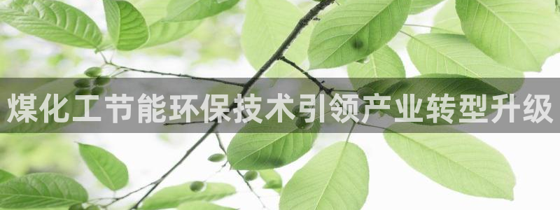 亿万先生 菲律宾：煤化工节能环保技术引领产业转型升级