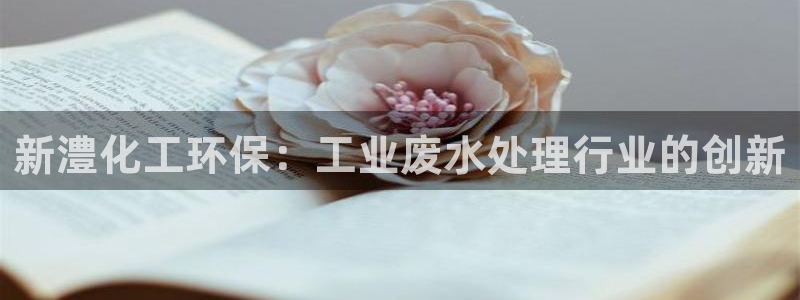 亿万的亿：新澧化工环保：工业废水处理行业的创新