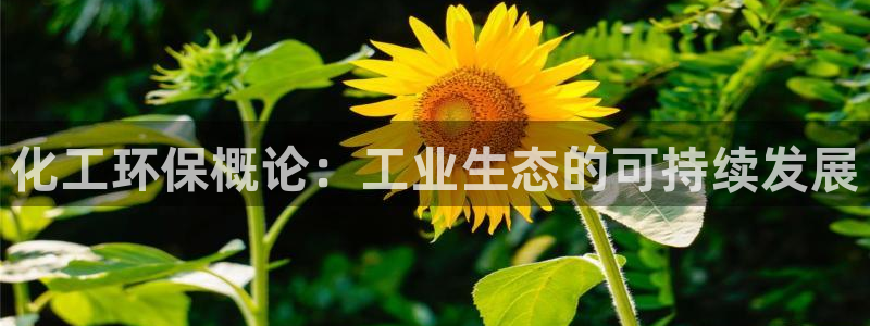 亿万先生充电桩：化工环保概论：工业生态的可持续发展