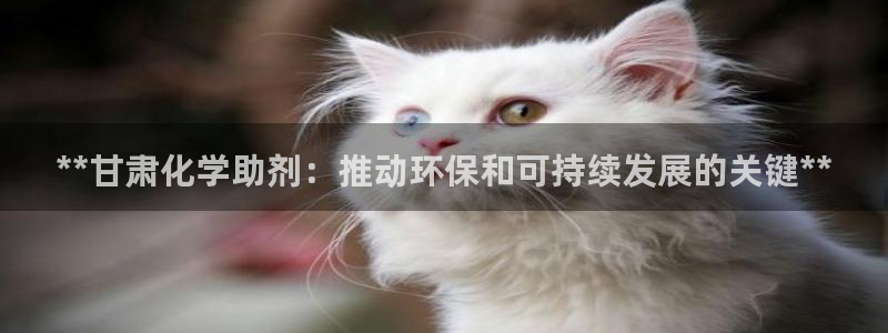 亿万剧情简介：**甘肃化学助剂：推动环保和可持续发展的关键**