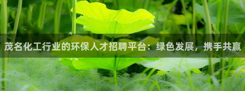 亿万先生官方网站客户端下载安装：茂名化工行业的环保人才招聘平台：绿色发展，携手共赢
