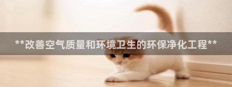 亿万先生首页：**改善空气质量和环境卫生的环保净化工程**