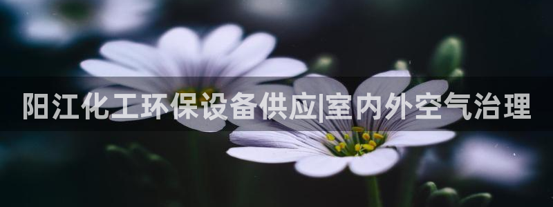 亿万先生手机版入口在哪：阳江化工环保设备供应|室内外空气治理