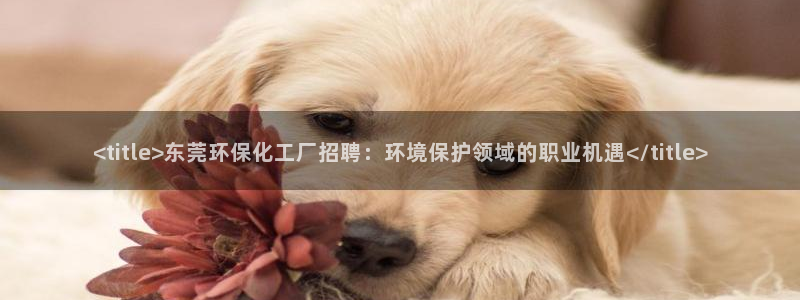 亿万官网手机登录：<title>东莞环保化工厂招聘：环境保护领域的职业机遇</title>