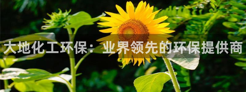 亿万先生客服联系方式：大地化工环保：业界领先的环保提供商