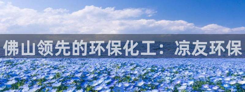 亿万集团有限公司：佛山领先的环保化工：凉友环保
