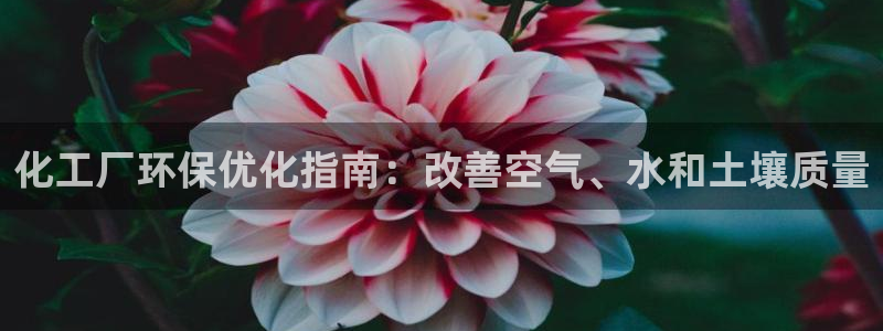亿万先生 菲律宾：化工厂环保优化指南：改善空气、水和土壤质量