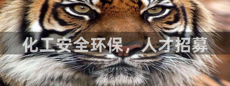 亿万先生 菲律宾：化工安全环保，人才招募