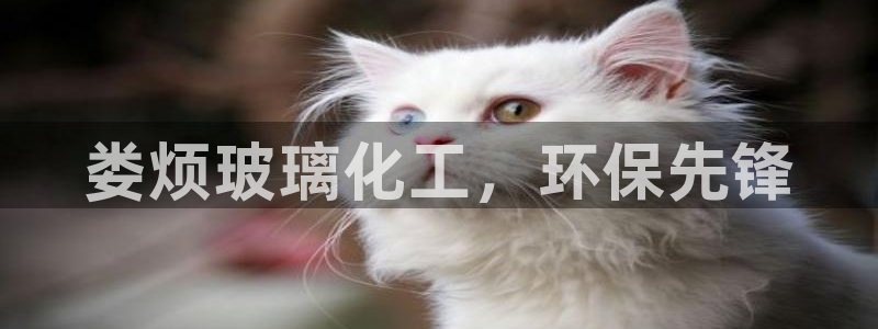 亿万先生mr008cc官网：娄烦玻璃化工，环保先锋