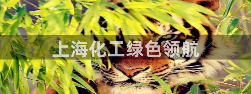 亿万先生客户端：上海化工绿色领航