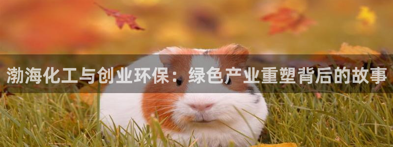 亿万同人字幕组的个人主页：渤海化工与创业环保：绿色产业重塑背后的故事