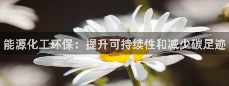 亿万网友在线实时为你解答：能源化工环保：提升可持续性和减少碳足迹