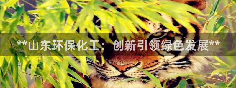 亿万红包版下载正版：**山东环保化工：创新引领绿色发展**