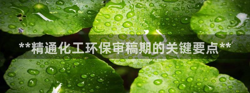 亿万网红：**精通化工环保审稿期的关键要点**