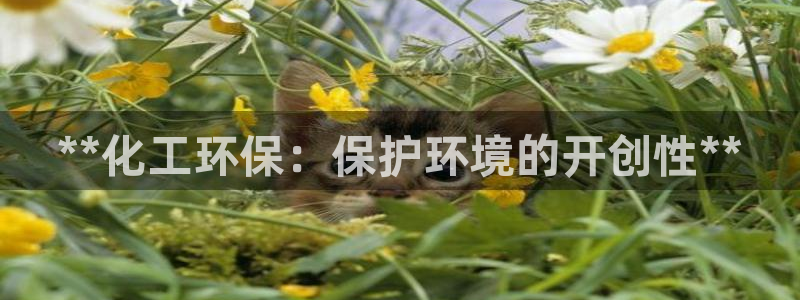 亿万先生换网址了吗：**化工环保：保护环境的开创性**