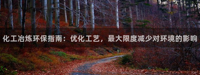 电影 亿万：化工冶炼环保指南：优化工艺，最大限度减少对环境的影响
