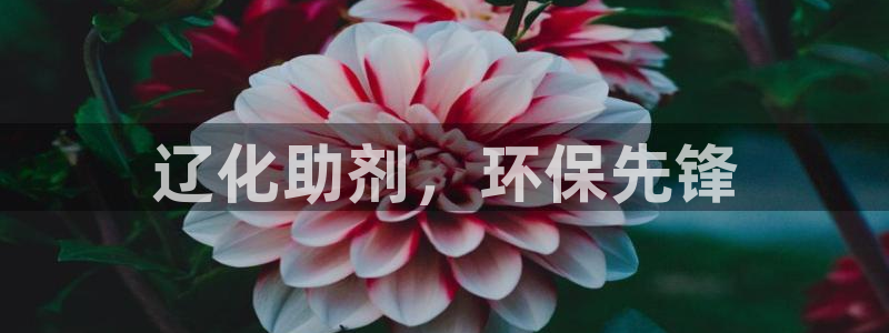 亿万先生官方网站：辽化助剂，环保先锋