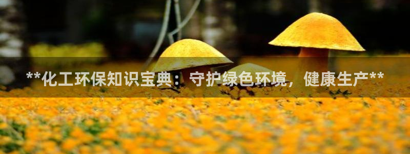 亿万先生 菲律宾：**化工环保知识宝典：守护绿色环境，健康生产**