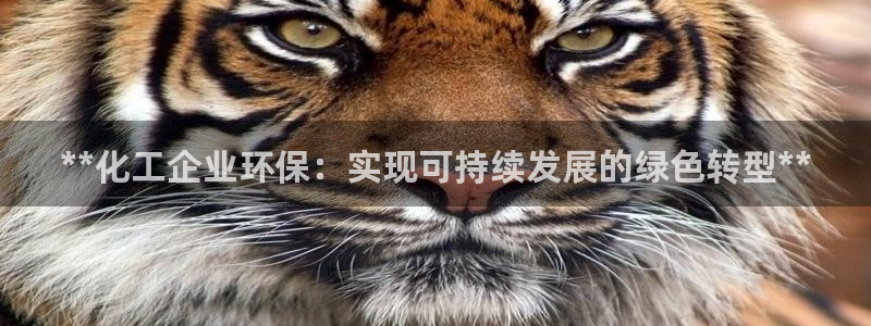 亿万先生网红：**化工企业环保：实现可持续发展的绿色转型**