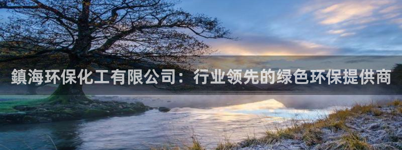 亿万先生mr07：鎮海环保化工有限公司：行业领先的绿色环保提供商