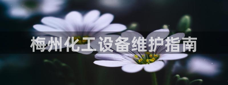 mr8001亿万先生：梅州化工设备维护指南