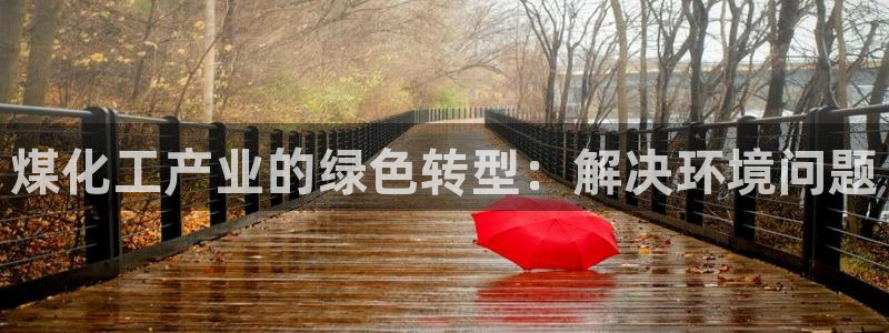 亿万先生合并网址是多少：煤化工产业的绿色转型：解决环境问题