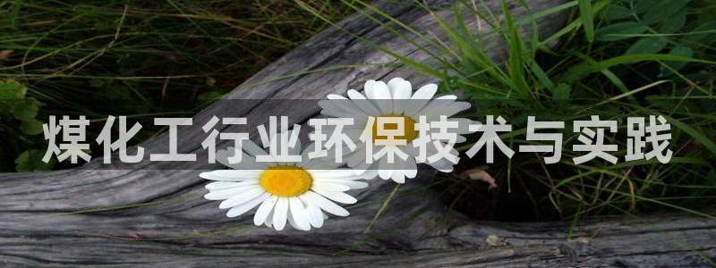 亿万先生手游下载官网：煤化工行业环保技术与实践