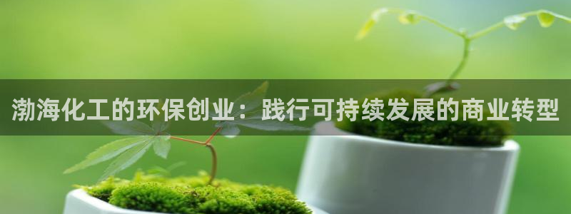 亿万先生是男是女：渤海化工的环保创业：践行可持续发展的商业转型