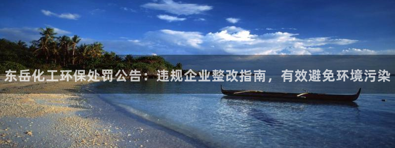 亿万先生007网页登录不了：东岳化工环保处罚公告：违规企业整改指南，有效避免环境污染